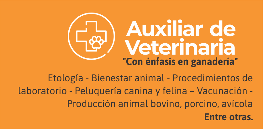 Técnico en  Auxiliar de Veterinaria